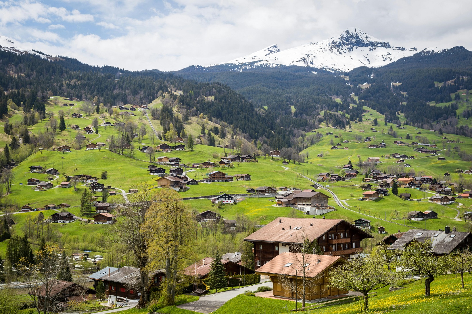 Switzerland Visa Consultancy
